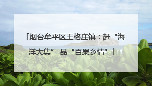 烟台牟平区王格庄镇：赶“海洋大集” 品“百果乡情”