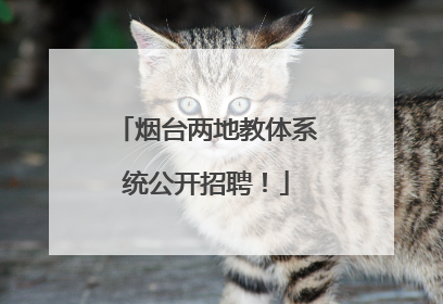 烟台两地教体系统公开招聘！