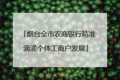 烟台全市农商银行精准滴灌个体工商户发展