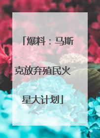 爆料：马斯克放弃殖民火星大计划