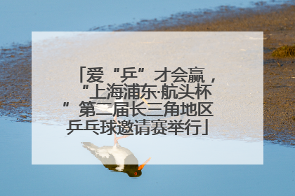 爱“乒”才会赢，“上海浦东·航头杯”第二届长三角地区乒乓球邀请赛举行