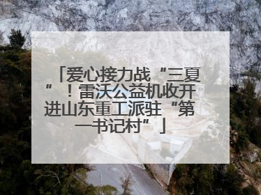 爱心接力战“三夏”！雷沃公益机收开进山东重工派驻“第一书记村”
