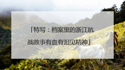 特写：档案里的浙江抗战故事有血有泪见精神