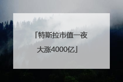 特斯拉市值一夜大涨4000亿