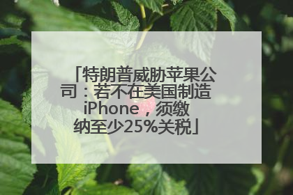 特朗普威胁苹果公司：若不在美国制造iPhone，须缴纳至少25%关税