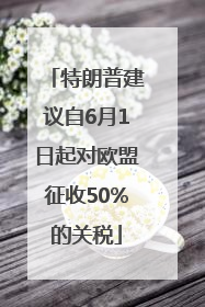特朗普建议自6月1日起对欧盟征收50%的关税