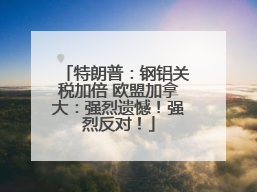 特朗普：钢铝关税加倍 欧盟加拿大：强烈遗憾！强烈反对！