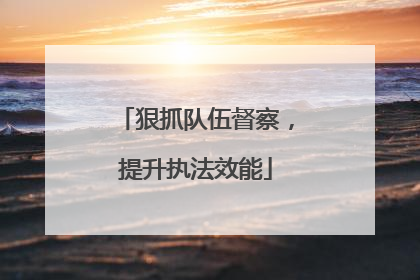 狠抓队伍督察，提升执法效能