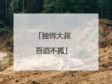 独臂大叔 吾道不孤