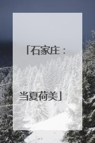 石家庄：当夏荷美
