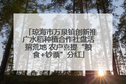 琼海市万泉镇创新推广水稻种植合作社盘活撂荒地 农户喜提“粮食+钞票”分红