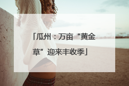 瓜州：万亩“黄金草”迎来丰收季