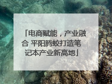 电商赋能，产业融合 平阳腾蛟打造笔记本产业新高地