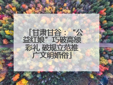 甘肃甘谷：“公益红娘”巧破高额彩礼 破规立范推广文明婚俗