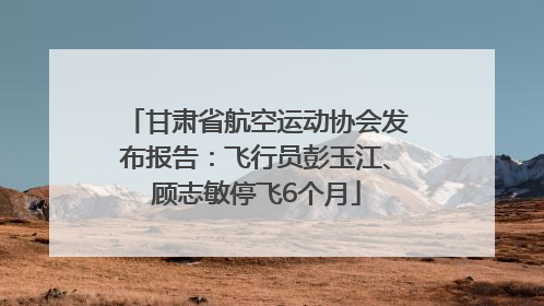 甘肃省航空运动协会发布报告：飞行员彭玉江、顾志敏停飞6个月