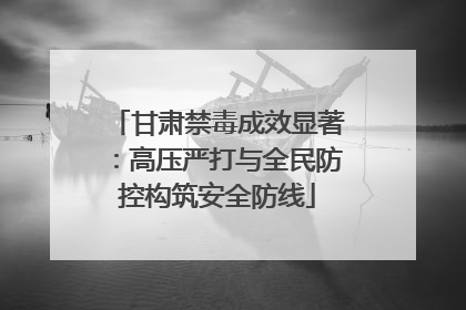 甘肃禁毒成效显著：高压严打与全民防控构筑安全防线