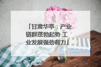 甘肃华亭：产业链群蓬勃起势 工业发展强劲有力