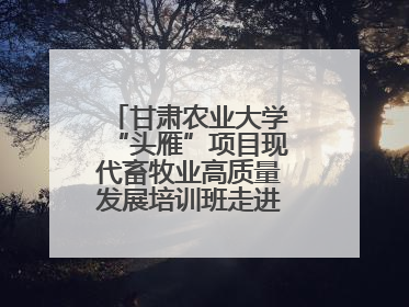 甘肃农业大学“头雁”项目现代畜牧业高质量发展培训班走进榆林榆阳区