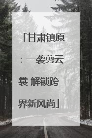 甘肃镇原：一袭剪云裳 解锁跨界新风尚