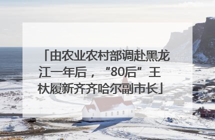 由农业农村部调赴黑龙江一年后，“80后”王杕履新齐齐哈尔副市长