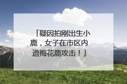 疑因拍刚出生小鹿，女子在市区内遭梅花鹿攻击！