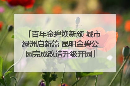 百年金碧焕新颜 城市绿洲启新篇 昆明金碧公园完成改造升级开园