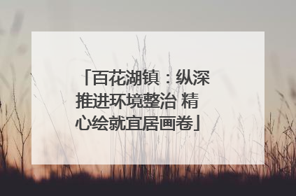 百花湖镇：纵深推进环境整治 精心绘就宜居画卷