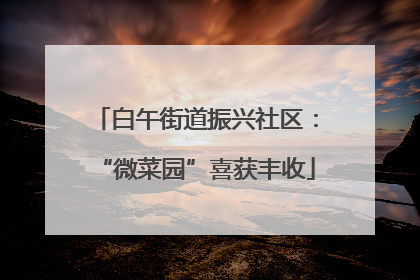 白午街道振兴社区：“微菜园”喜获丰收