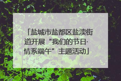 盐城市盐都区盐渎街道开展“我们的节日·情系端午”主题活动
