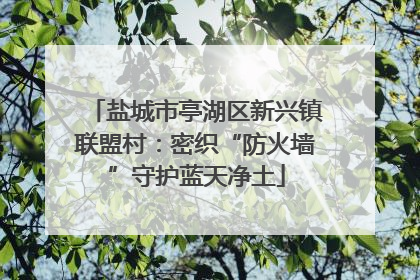 盐城市亭湖区新兴镇联盟村：密织“防火墙”守护蓝天净土