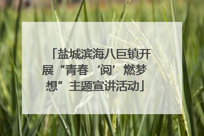 盐城滨海八巨镇开展“青春‘阅’燃梦想”主题宣讲活动
