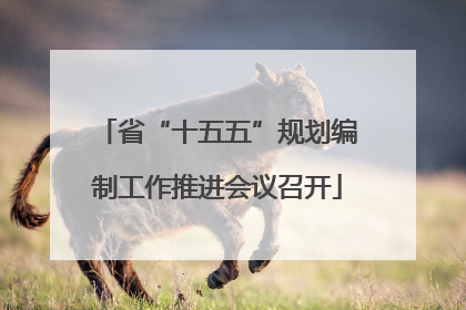省“十五五”规划编制工作推进会议召开