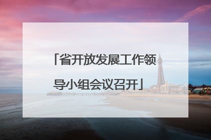 省开放发展工作领导小组会议召开