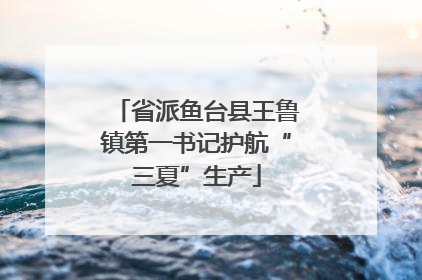 省派鱼台县王鲁镇第一书记护航“三夏”生产