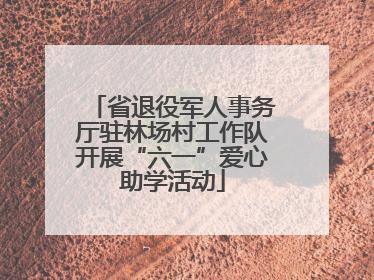 省退役军人事务厅驻林场村工作队开展“六一”爱心助学活动