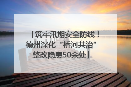筑牢汛期安全防线！德州深化“桥河共治”整改隐患50余处