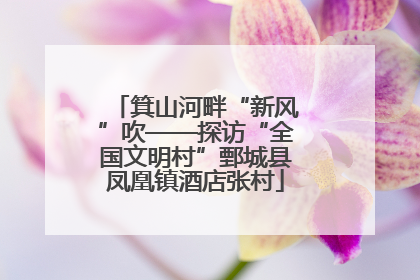 箕山河畔“新风”吹——探访“全国文明村”鄄城县凤凰镇酒店张村