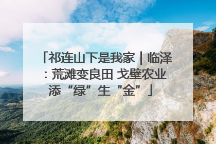 祁连山下是我家｜临泽：荒滩变良田 戈壁农业添“绿”生“金”