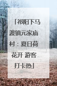 祁阳下马渡镇元家庙村：夏日荷花开 游客打卡热