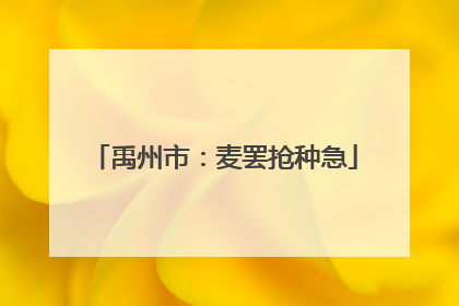 禹州市：麦罢抢种急