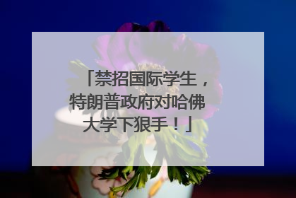 禁招国际学生，特朗普政府对哈佛大学下狠手！