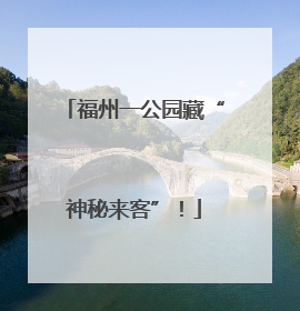 福州一公园藏“神秘来客”！