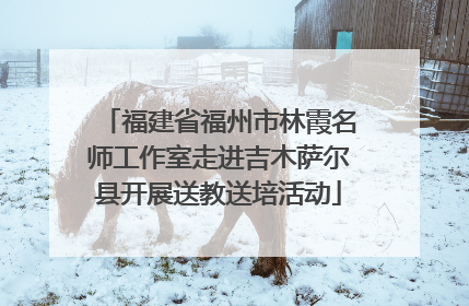 福建省福州市林霞名师工作室走进吉木萨尔县开展送教送培活动