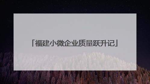 福建小微企业质量跃升记