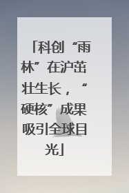 科创“雨林”在沪茁壮生长，“硬核”成果吸引全球目光