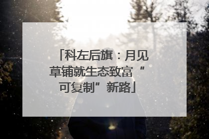 科左后旗：月见草铺就生态致富“可复制”新路