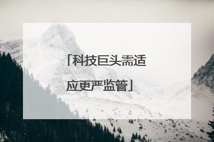 科技巨头需适应更严监管