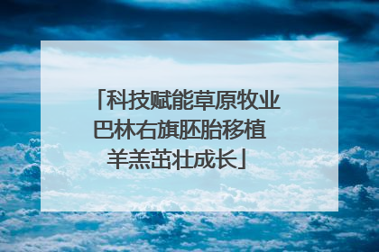科技赋能草原牧业 巴林右旗胚胎移植羊羔茁壮成长