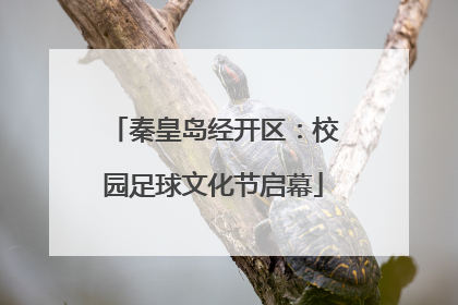 秦皇岛经开区：校园足球文化节启幕