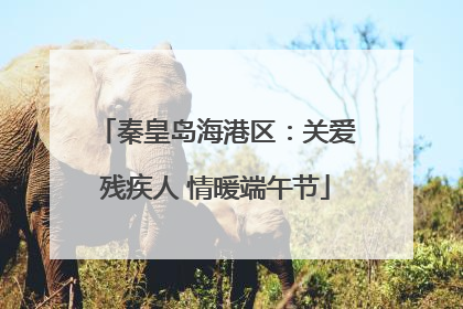 秦皇岛海港区：关爱残疾人 情暖端午节